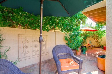 Side Courtyard Area