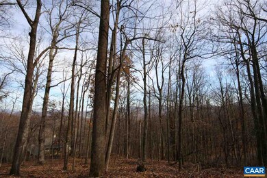 1450 Crawfords Climb unit RODES VALLEY FOOTHIL, Nellysford, VA 22958 - photo 3