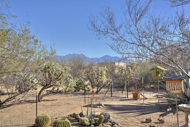 Mountain View from back Patio