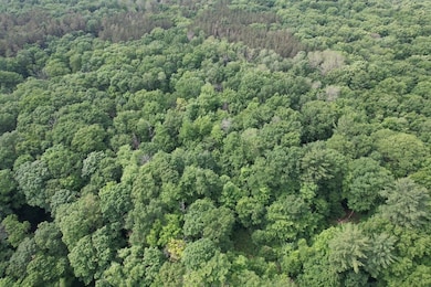 503 Centerville Rd, Pulaski, NY 13142 - photo 4