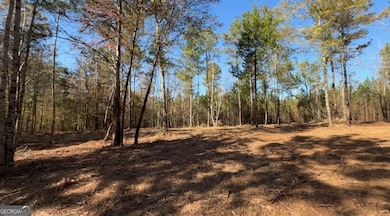 TRACT A Russellville Rd, Forsyth, GA 31029 - photo 2