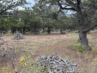 7863 Platten Rd, Fort Garland, CO 81133 - photo 6