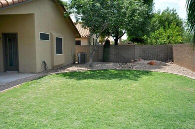 Backyard 2