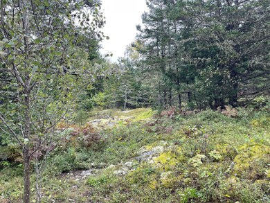 204 Kennebec Rd, MacHias, ME 04654 - photo 7