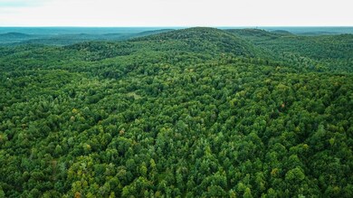 Expansive Wilderness