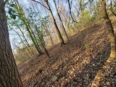 0 Pennsylvania Ave, Hampton Manor, NY 12144 - photo 3