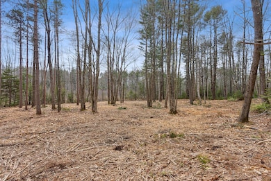 TBD Arundel Rd, Kennebunkport, ME 04046 - photo 2