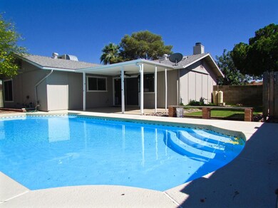 Pool & covered patio