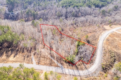 LOT 63 Shoreside at Sipsey, Double Springs, AL 35553 - photo 2