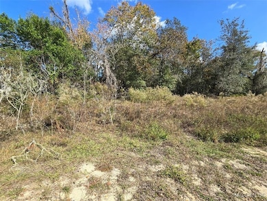 1487 N Reading Point, Inverness, FL 34453 - photo 2