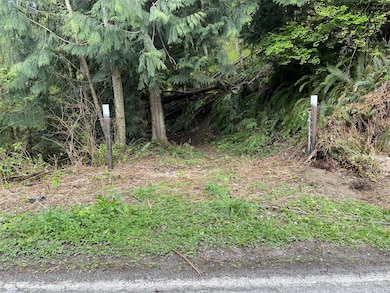 2800 Freestad Rd, Stanwood, WA 98292 - photo 2