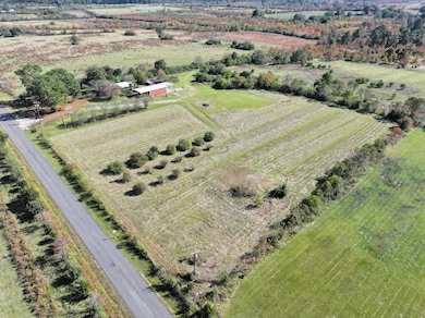 2901 Bailey Rd, Leesville, LA 71446 - photo 6