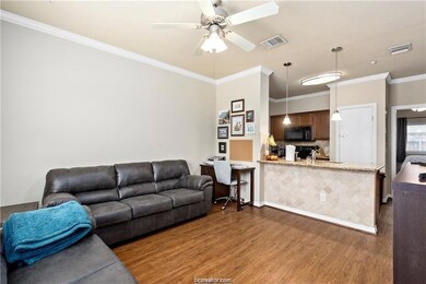 1198 Jones Butler Rd unit 2907, College Station, TX 77840 - photo 3