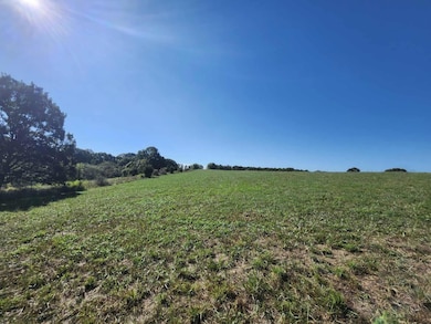 000 N Highway 95, Mountain Grove, MO 65711 - photo 4