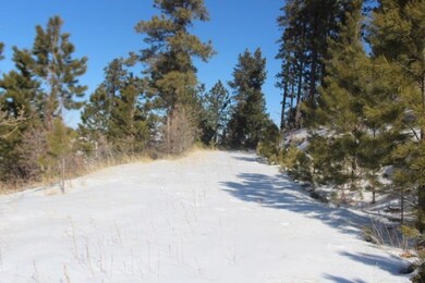 Lot 31R Centennial Vista Ave, North Lawrence, SD 57783 - photo 2