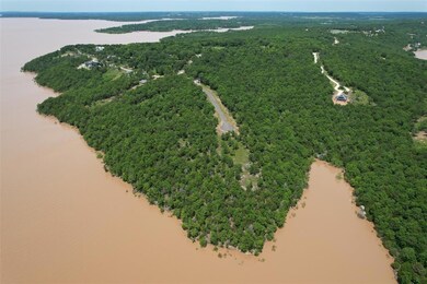 Drone / aerial view of a large body of water and a forest