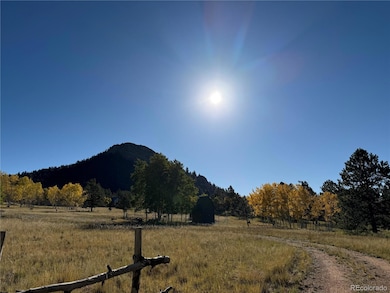 1965 Vagabond Creek Dr unit 9, Lake George, CO 80827 - photo 3