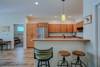 2221 Willow Dr unit B, Livingston, MT 59047 - photo 5