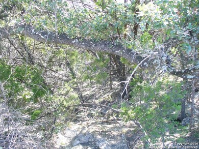 26026 Dull Knife Trail, San Antonio, TX 78255 - photo 5