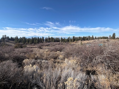 0 Oregon Shores Dr unit 240741, Chiloquin, OR 97624 - photo 4