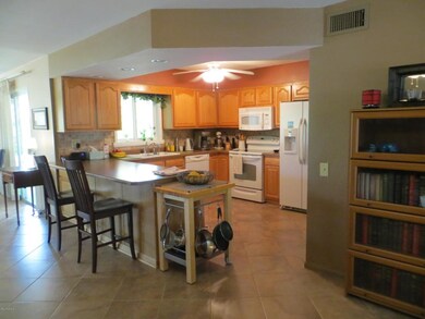 9510 W Appaloosa Dr, Sun City, AZ 85373 - photo 6