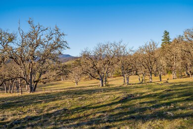 Lick Creek Ranch 07