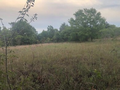 408 Forest Trail, Weatherford, TX 76085 - photo 7