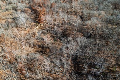 00000 Gull Rd, Toronto, KS 66777 - photo 5