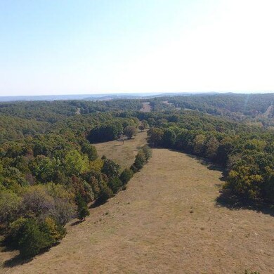 000 Farm Road 2080, Jenkins Township, MO - photo 3
