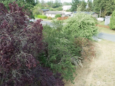 312 2nd St, Roy, WA 98580 - photo 6