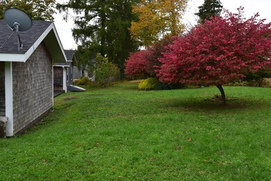 DSC_0088 (4)