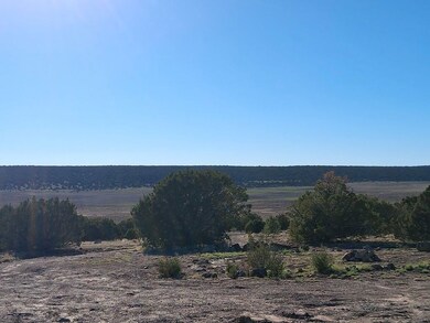 86 County Road 8227, Concho, AZ 85924 - photo 2
