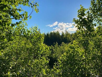 3 Fieldstone Rd, Gorham, NH 03581 - photo 2