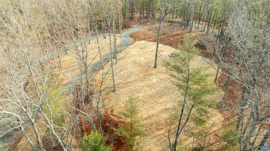 PARCEL 54 Free Union Rd, Charlottesville, VA 22901 - photo 3