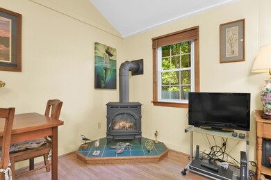 Gas Stove