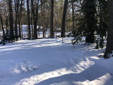 IMG-3532