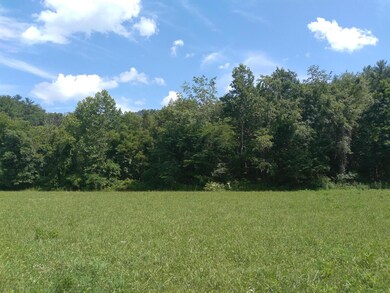 Land #7