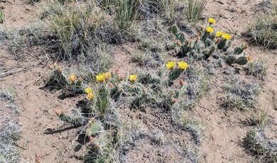 3213 Enchanted Ct, Crestone, CO 81131 - photo 6