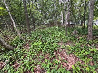 2 Selden St, Worcester, MA 01605 - photo 3