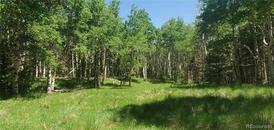 Lot 3085 Henderson Dr unit 3085, Fort Garland, CO 81133 - photo 4