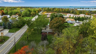 3708 Big Tree Rd, Hamburg, NY 14075 - photo 4