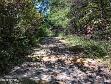 0 Tiffany Ln unit 11581088, Jamestown, TN 38556 - photo 6