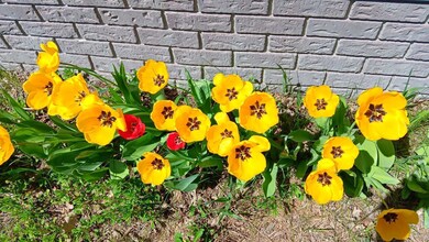 623 N Main St, Badger, MN 56714 - photo 6