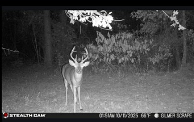 Stag Rd, Gilmer, TX 75644 - photo 3