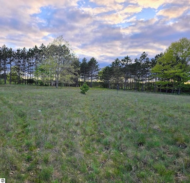 Cedar and W 12th St, Evart, MI 49631 - photo 7