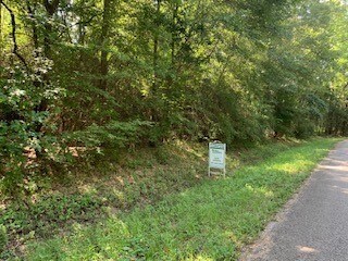 Lots 35-43 Seminole at Apache Trail, Magnolia, TX 77354 - photo 4