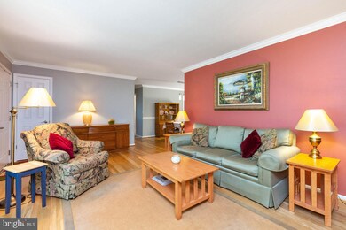 3131 Christine Dr, Beltsville, MD 20705 - photo 3