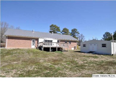 Large back deck and storage building that will rem