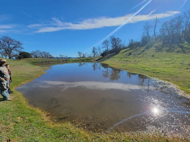 25156 E State Highway 20, Clearlake Oaks, CA 95423 - photo 3