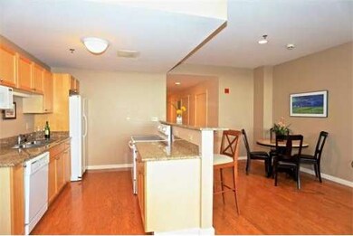 The Strada 234 unit 902, Boston, MA 02114 - photo 6